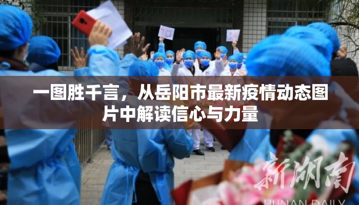 一图胜千言，从岳阳市最新疫情动态图片中解读信心与力量