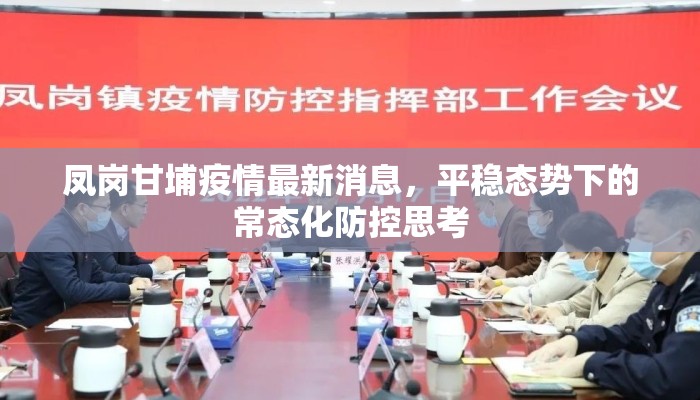 凤岗甘埔疫情最新消息，平稳态势下的常态化防控思考
