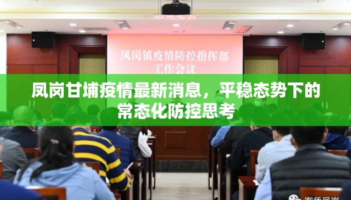 凤岗甘埔疫情最新消息，平稳态势下的常态化防控思考