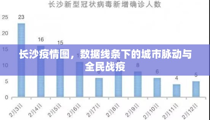 长沙疫情图，数据线条下的城市脉动与全民战疫