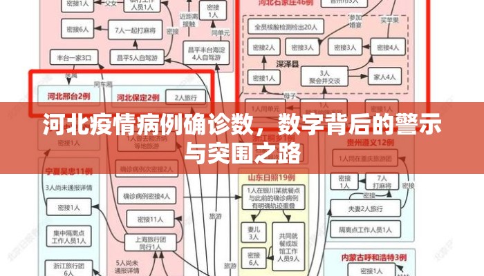 河北疫情病例确诊数，数字背后的警示与突围之路