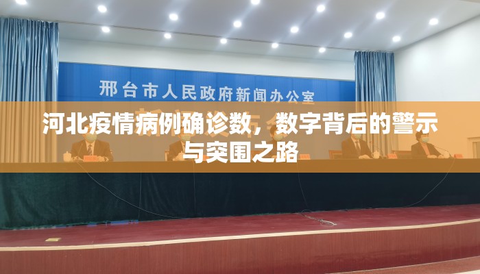 河北疫情病例确诊数，数字背后的警示与突围之路