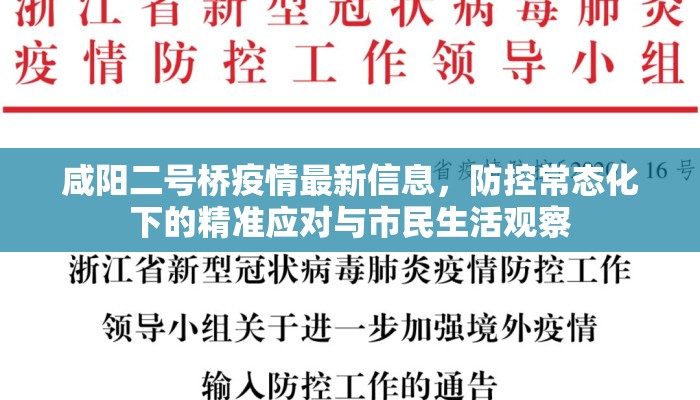 咸阳二号桥疫情最新信息，防控常态化下的精准应对与市民生活观察