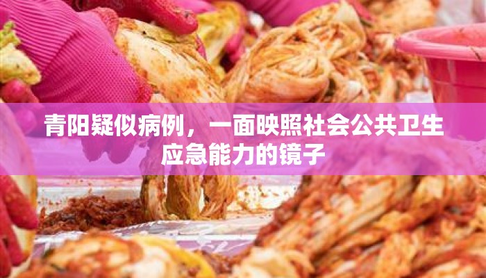 青阳疑似病例，一面映照社会公共卫生应急能力的镜子