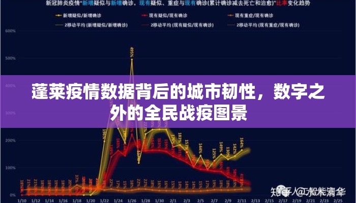 蓬莱疫情数据背后的城市韧性，数字之外的全民战疫图景