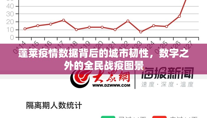 蓬莱疫情数据背后的城市韧性，数字之外的全民战疫图景