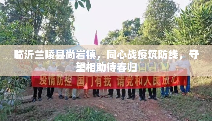 临沂兰陵县尚岩镇，同心战疫筑防线，守望相助待春归