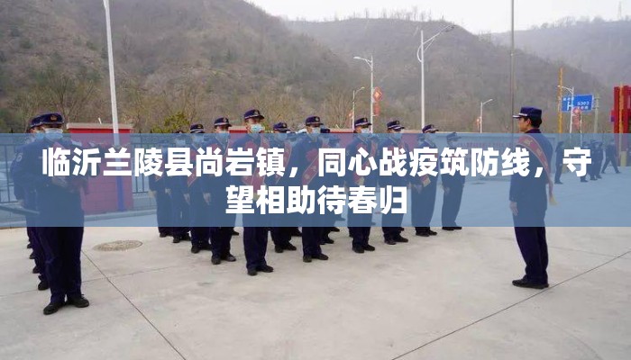 临沂兰陵县尚岩镇，同心战疫筑防线，守望相助待春归