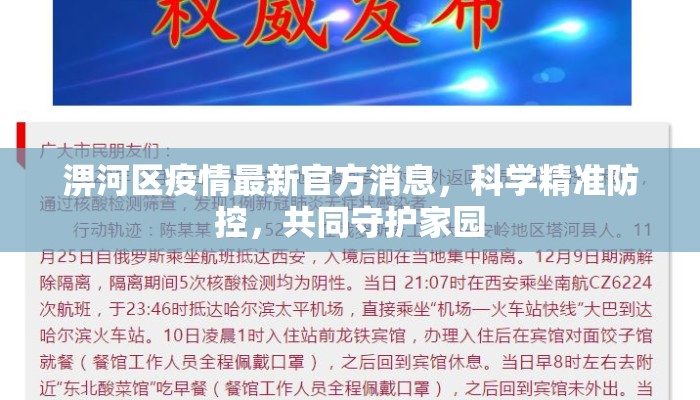 淠河区疫情最新官方消息，科学精准防控，共同守护家园