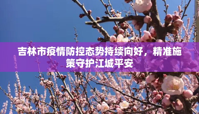 吉林市疫情防控态势持续向好，精准施策守护江城平安