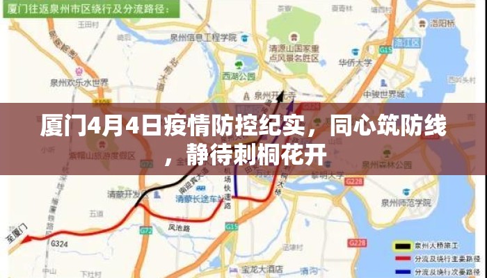 厦门4月4日疫情防控纪实，同心筑防线，静待刺桐花开