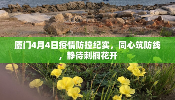 厦门4月4日疫情防控纪实，同心筑防线，静待刺桐花开
