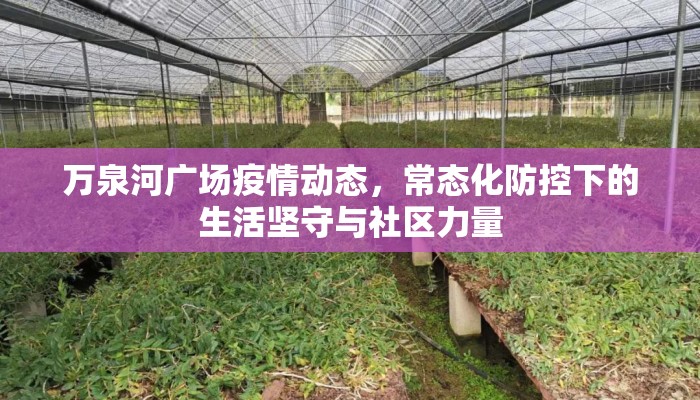 万泉河广场疫情动态，常态化防控下的生活坚守与社区力量
