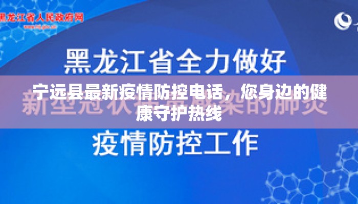 宁远县最新疫情防控电话，您身边的健康守护热线