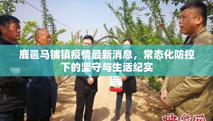 鹿邑马铺镇疫情最新消息，常态化防控下的坚守与生活纪实