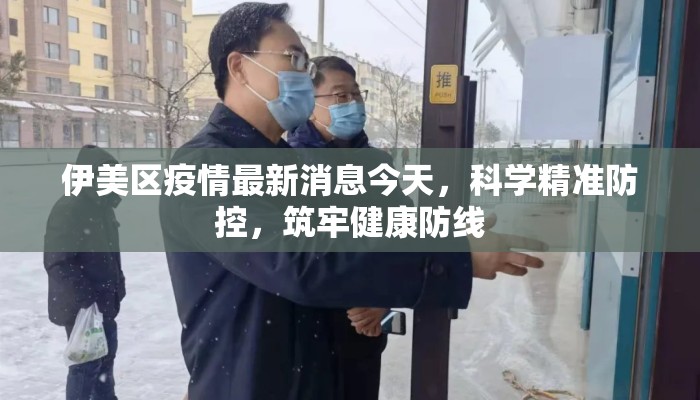 伊美区疫情最新消息今天，科学精准防控，筑牢健康防线