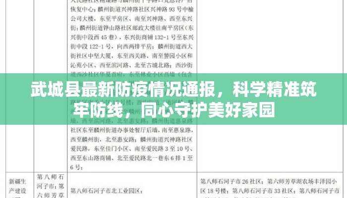 武城县最新防疫情况通报，科学精准筑牢防线，同心守护美好家园