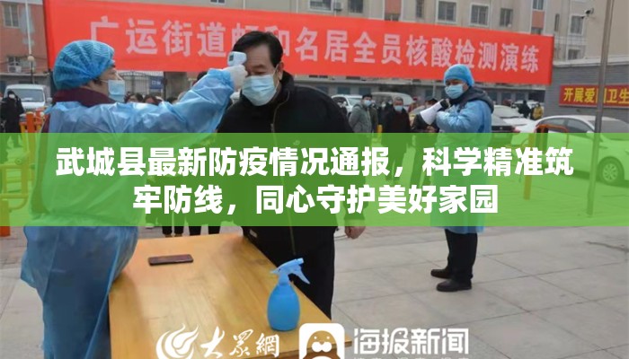 武城县最新防疫情况通报，科学精准筑牢防线，同心守护美好家园