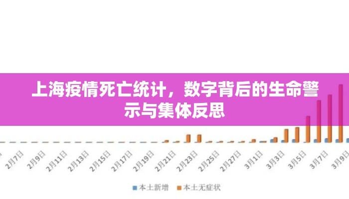 上海疫情死亡统计，数字背后的生命警示与集体反思