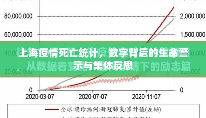 上海疫情死亡统计，数字背后的生命警示与集体反思