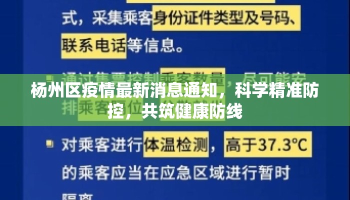杨州区疫情最新消息通知，科学精准防控，共筑健康防线