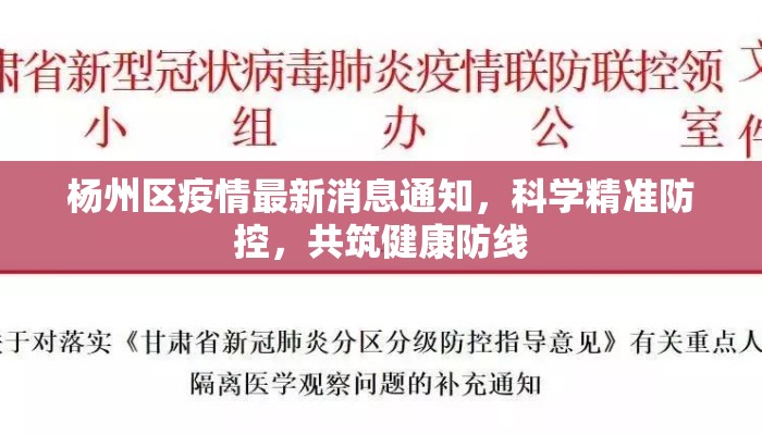 杨州区疫情最新消息通知，科学精准防控，共筑健康防线