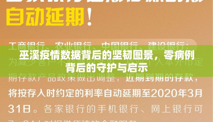 巫溪疫情数据背后的坚韧图景，零病例背后的守护与启示