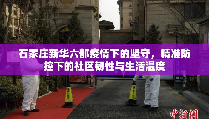 石家庄新华六部疫情下的坚守，精准防控下的社区韧性与生活温度