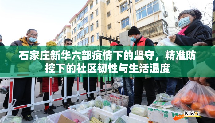 石家庄新华六部疫情下的坚守，精准防控下的社区韧性与生活温度