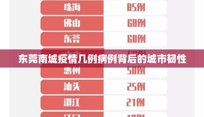 东莞南城疫情几例病例背后的城市韧性