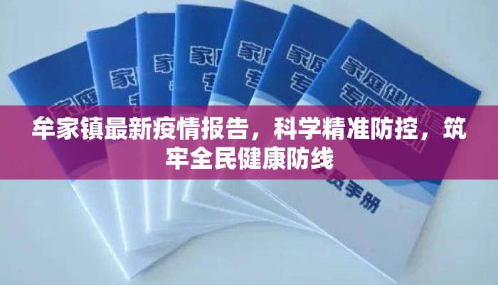 牟家镇最新疫情报告，科学精准防控，筑牢全民健康防线