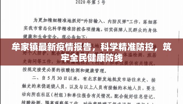 牟家镇最新疫情报告，科学精准防控，筑牢全民健康防线