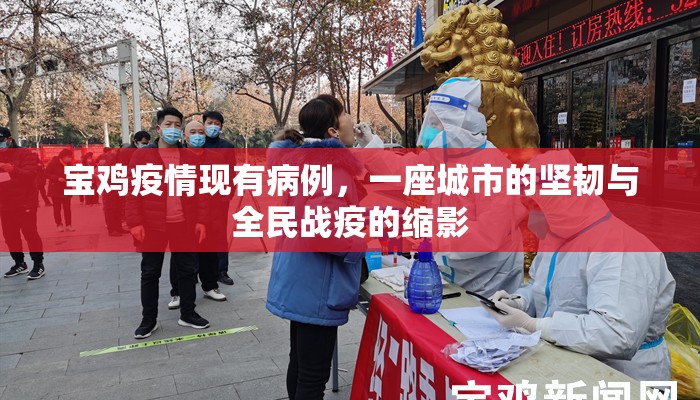 宝鸡疫情现有病例，一座城市的坚韧与全民战疫的缩影