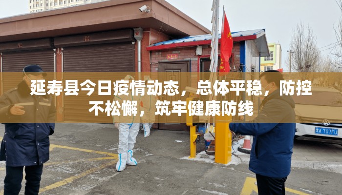 延寿县今日疫情动态，总体平稳，防控不松懈，筑牢健康防线