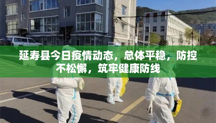 延寿县今日疫情动态，总体平稳，防控不松懈，筑牢健康防线