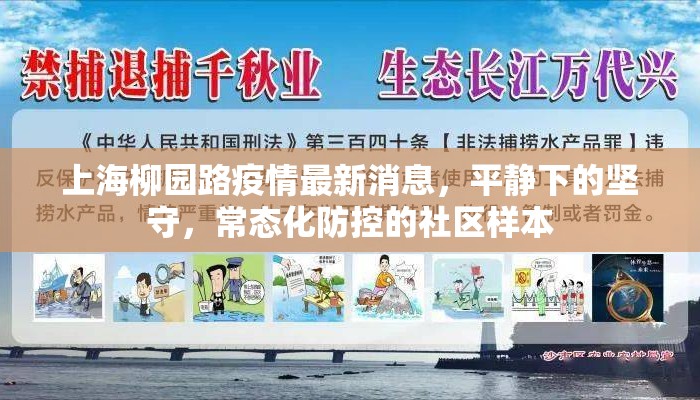 上海柳园路疫情最新消息，平静下的坚守，常态化防控的社区样本