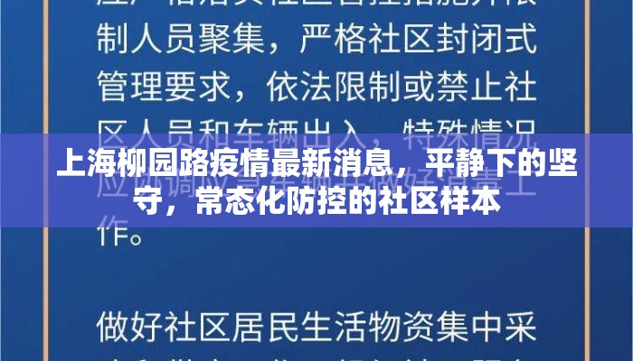 上海柳园路疫情最新消息，平静下的坚守，常态化防控的社区样本