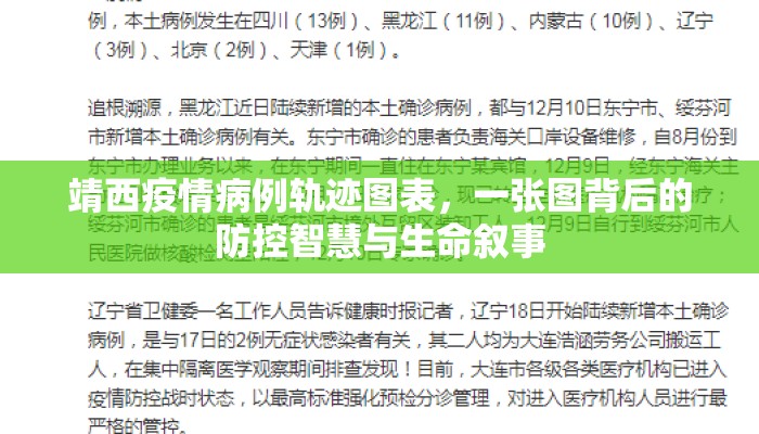 靖西疫情病例轨迹图表，一张图背后的防控智慧与生命叙事