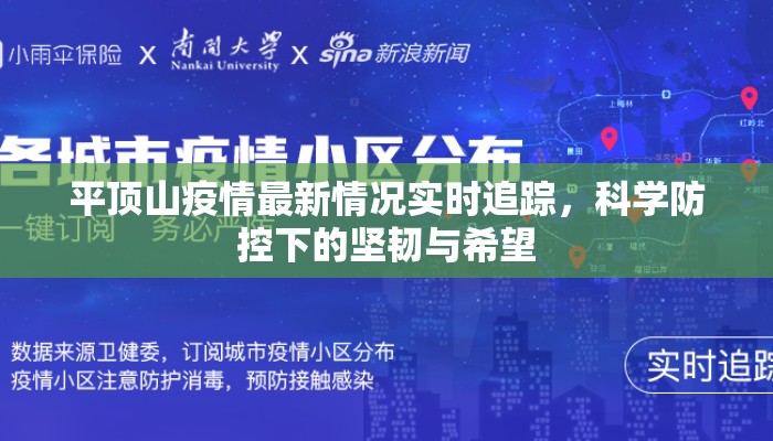 平顶山疫情最新情况实时追踪，科学防控下的坚韧与希望