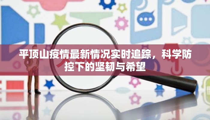 平顶山疫情最新情况实时追踪，科学防控下的坚韧与希望