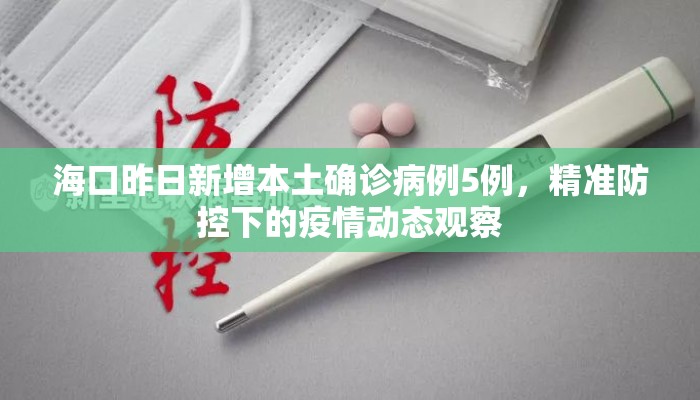 海口昨日新增本土确诊病例5例，精准防控下的疫情动态观察
