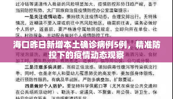 海口昨日新增本土确诊病例5例，精准防控下的疫情动态观察