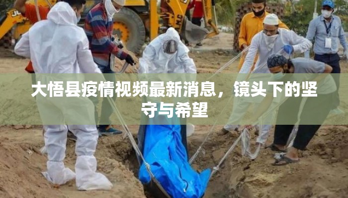 大悟县疫情视频最新消息，镜头下的坚守与希望