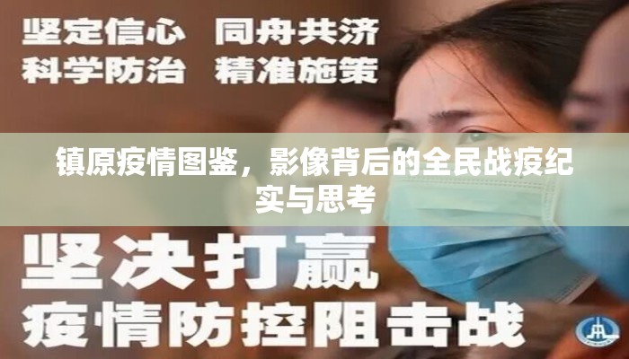镇原疫情图鉴，影像背后的全民战疫纪实与思考