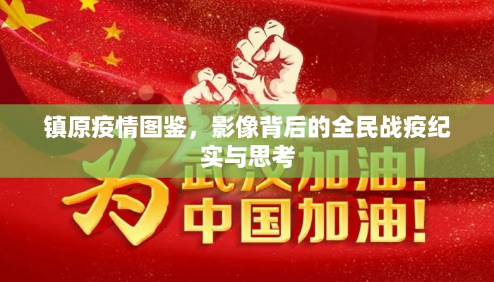 镇原疫情图鉴，影像背后的全民战疫纪实与思考