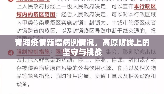 青海疫情新增病例情况，高原防线上的坚守与挑战