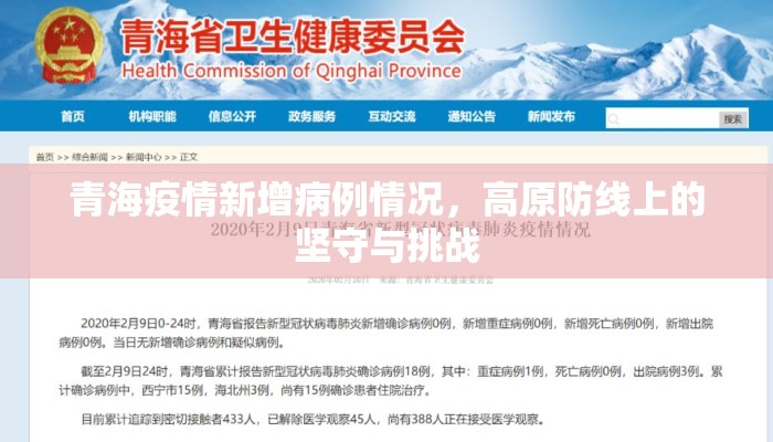 青海疫情新增病例情况，高原防线上的坚守与挑战