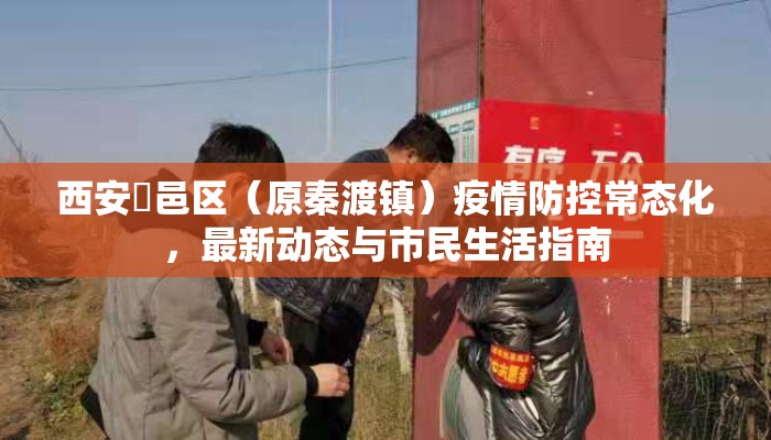 西安鄠邑区（原秦渡镇）疫情防控常态化，最新动态与市民生活指南