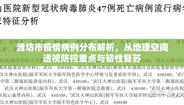 潍坊市疫情病例分布解析，从地理空间透视防控重点与韧性复苏