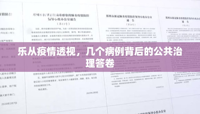 乐从疫情透视，几个病例背后的公共治理答卷